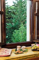 260m2 Unique Mountain House in Lilea Parnasos