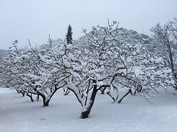 260m2 Unique Mountain House in Lilea Parnasos