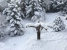 260m2 Unique Mountain House in Lilea Parnasos