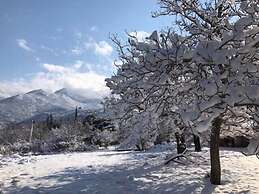 260m2 Unique Mountain House in Lilea Parnasos