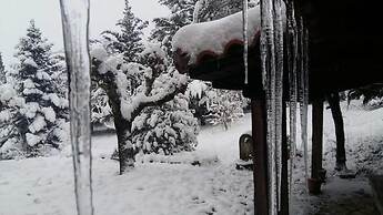 260m2 Unique Mountain House in Lilea Parnasos