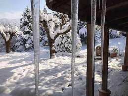 260m2 Unique Mountain House in Lilea Parnasos