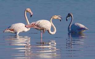 House With Heated Pool all Year Round