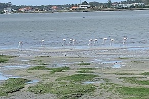 House With Heated Pool all Year Round