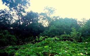 Green Space Homestay