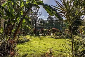 Basilica Resort - Where Luxury Redefines