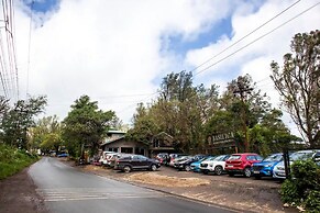 Basilica Resort - Where Luxury Redefines