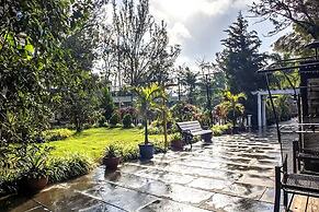 Basilica Resort - Where Luxury Redefines