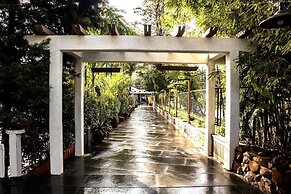 Basilica Resort - Where Luxury Redefines