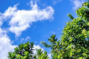 Fuwan Haitao Meishu Lingshui Haitang Bay