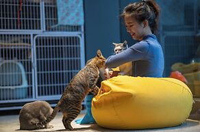 Yangshuo Yimuiji Homestay