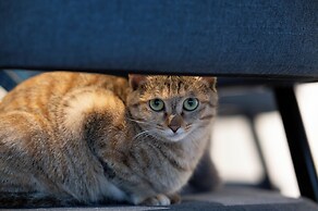 Yangshuo Yimuiji Homestay