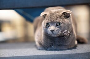 Yangshuo Yimuiji Homestay