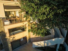 shenzhentianlumiyexianzongdujiameisu