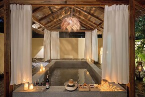 shenzhentianlumiyexianzongdujiameisu