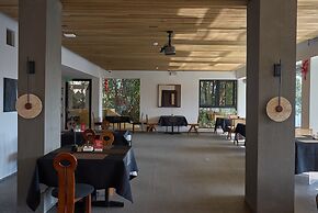 shenzhentianlumiyexianzongdujiameisu