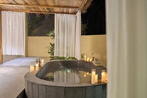 shenzhentianlumiyexianzongdujiameisu