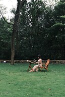 shenzhentianlumiyexianzongdujiameisu