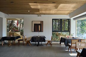 shenzhentianlumiyexianzongdujiameisu