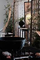 shenzhentianlumiyexianzongdujiameisu