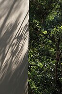 shenzhentianlumiyexianzongdujiameisu