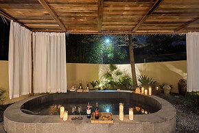 shenzhentianlumiyexianzongdujiameisu