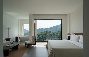 shenzhentianlumiyexianzongdujiameisu