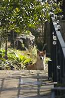 Chunqiu Banshan Leisure Resort