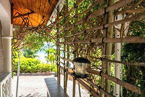 Beau Bamboo