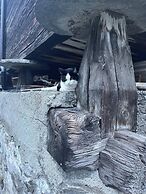 Historic Apartment in the old Village of Naters