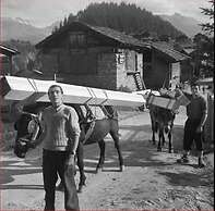 Historic Apartment in the old Village of Naters