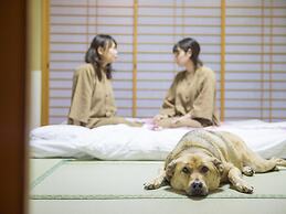 Matsusaka Wanwan Paradise Mori No Hotel