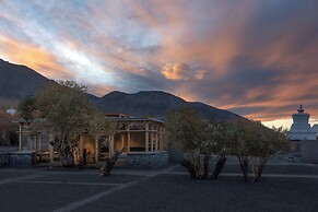 The Postcard in The Himalayan Willows