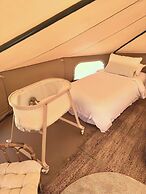 The Survival by Seudam