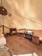 The Survival by Seudam