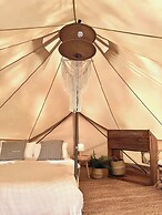 The Survival by Seudam