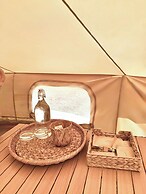 The Survival by Seudam