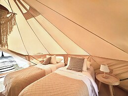 The Survival by Seudam