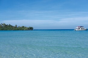 The Survival by Seudam