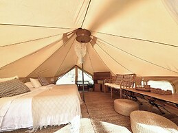 The Survival by Seudam