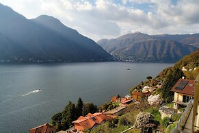 Nesso Mosaic