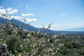 Dimos-mani Wonderful View