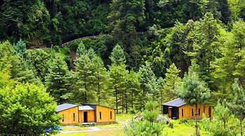 The Himalayan Tyangboche