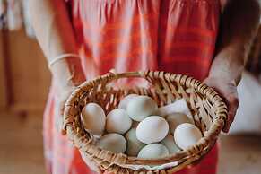 Berghaus Rosengarten