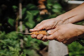 Berghaus Rosengarten
