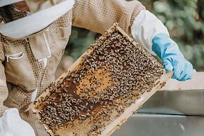 Berghaus Rosengarten