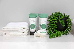 Zen Coastal Hideaway Modern Hospital Beach