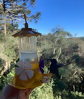 Rancho Green Pine Valley