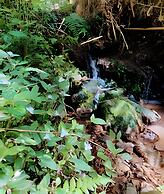 Rancho Green Pine Valley