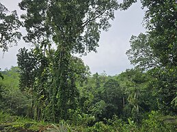 Nildiya Cottages